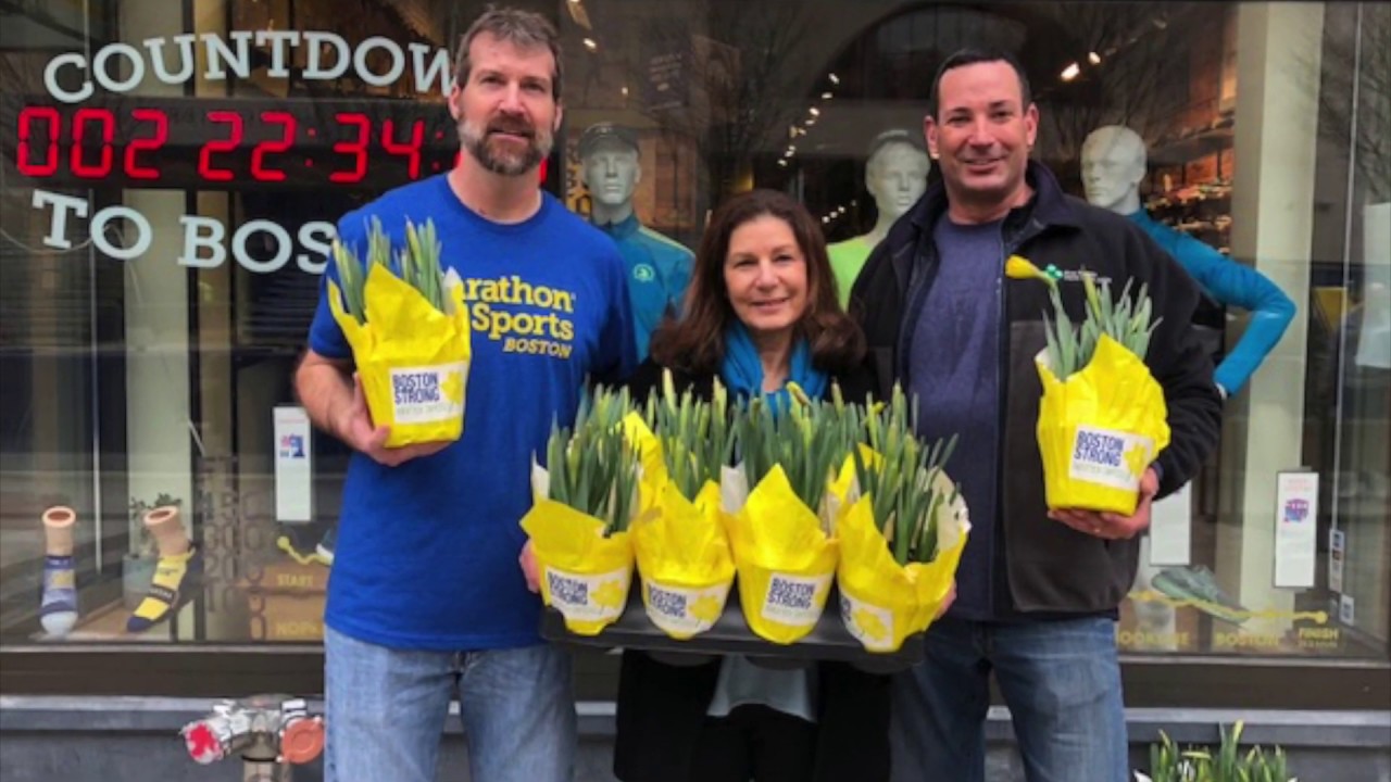Marathon Daffodils