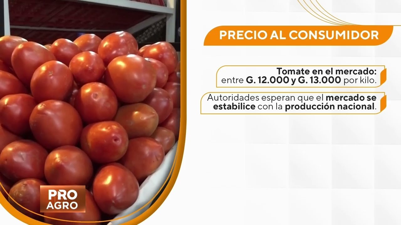 Producción y comercialización de tomate
