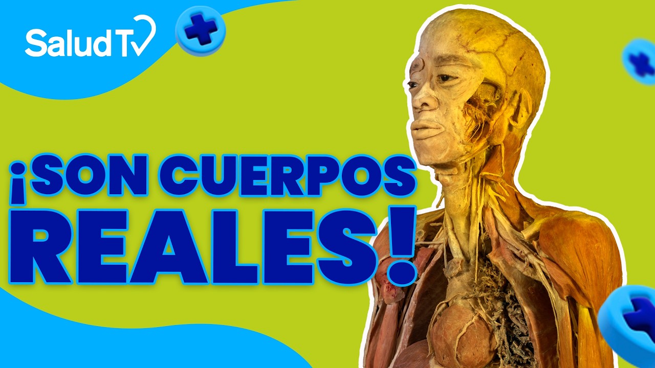 🔴✨ ¡Estamos EN VIVO en #SaludTV! ✨🔴
