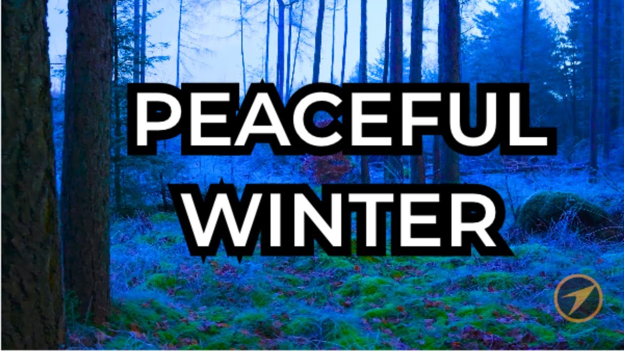 Whispers of the Cold Light | Peaceful Cinematic Ambient for Deep Winter Reflection | No Copyright