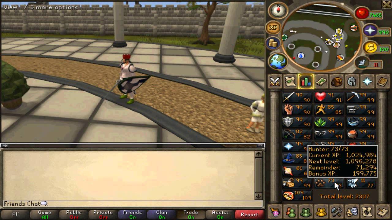 Runescape 2007 Server Questions!