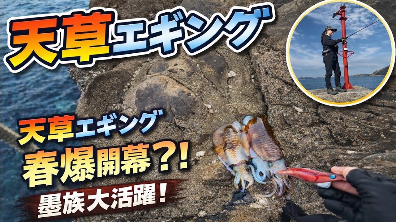 天草エギング　【春爆開幕？！墨族大活躍！】