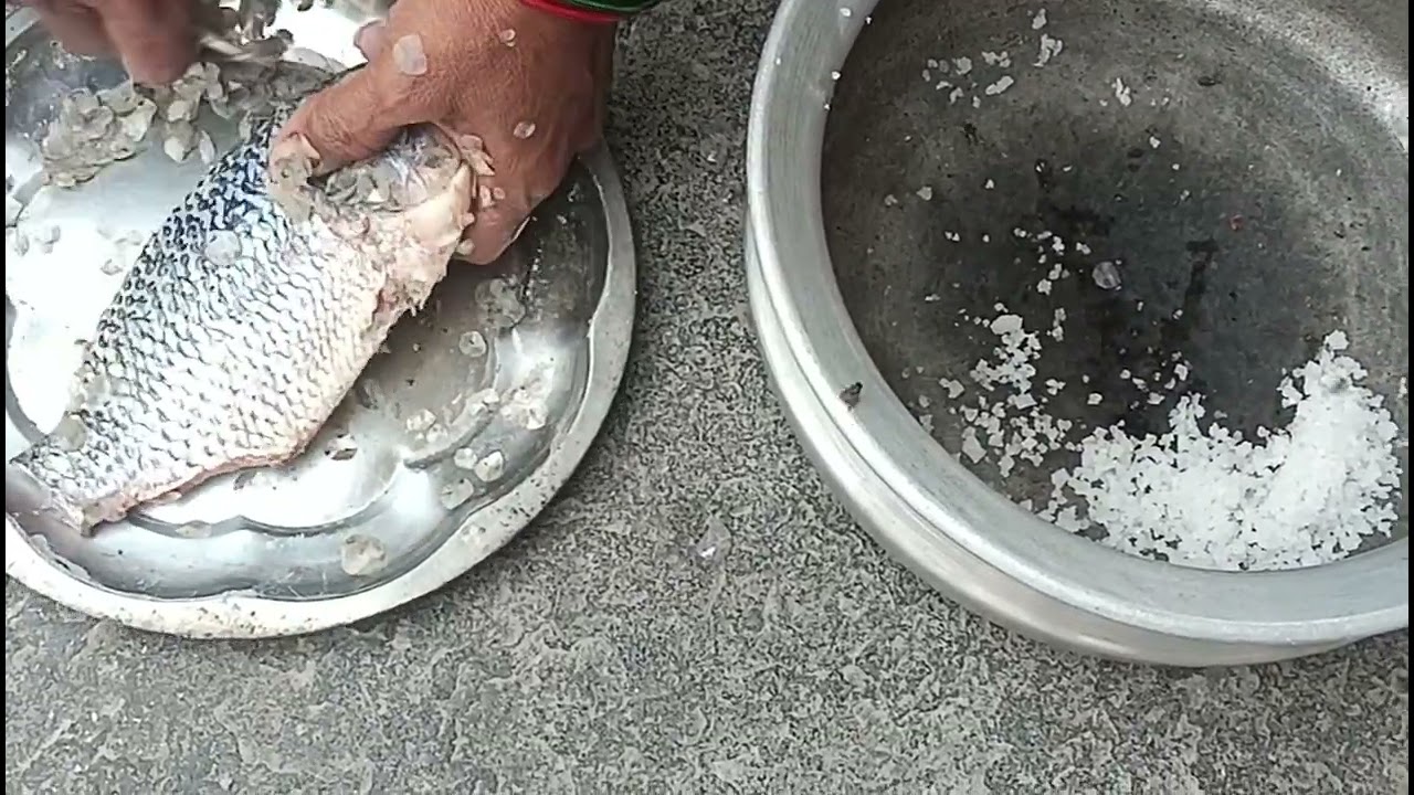 Village lo Nellore cheppala pulusu 