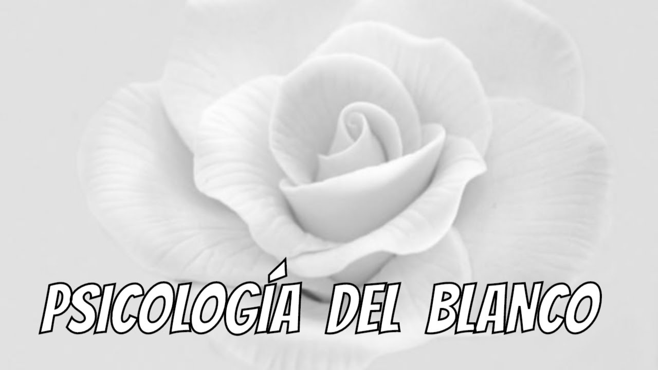 CURIOSIDADES DEL COLOR BLANCO | Historia de los Colores | Datos curiosos Cómo funcionan los Colores
