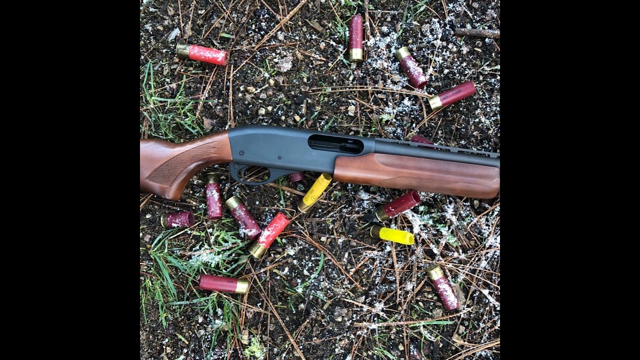 20ga for Survival - Hunting, Fighting & Defense