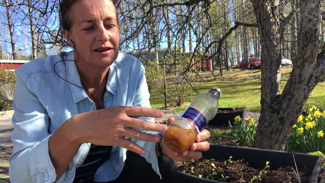 How to use bokashi juice!