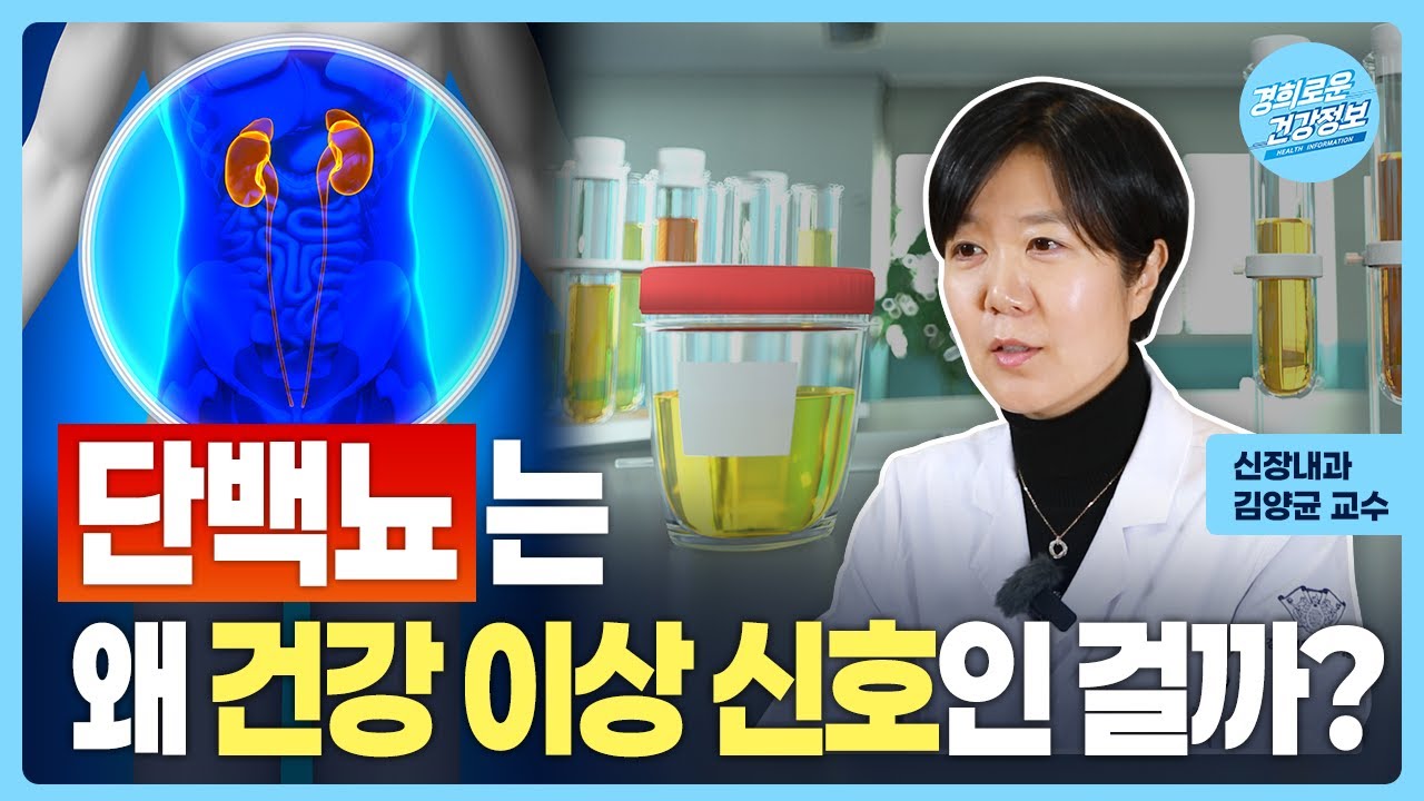 단백뇨는 왜 건강 이상 신호인 걸까? [신장내과 김양균 교수]