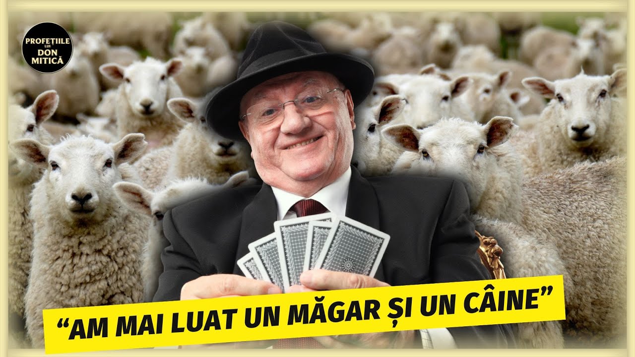 Cum A CASTIGAT Mitica Dragomir O TURMA DE OI la POKER: “ITI DAU EU CIOBANII”