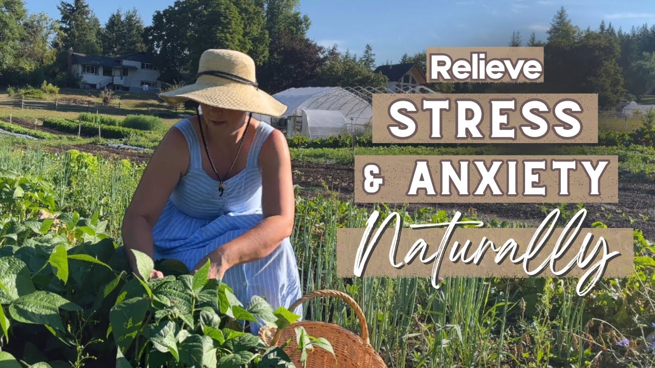 15 Healthy Habits for a Calm & Peaceful Life