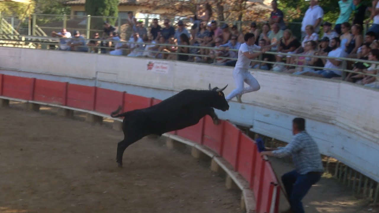 SAINT CHRISTOL COURSE DE LIGUE 23/07/24