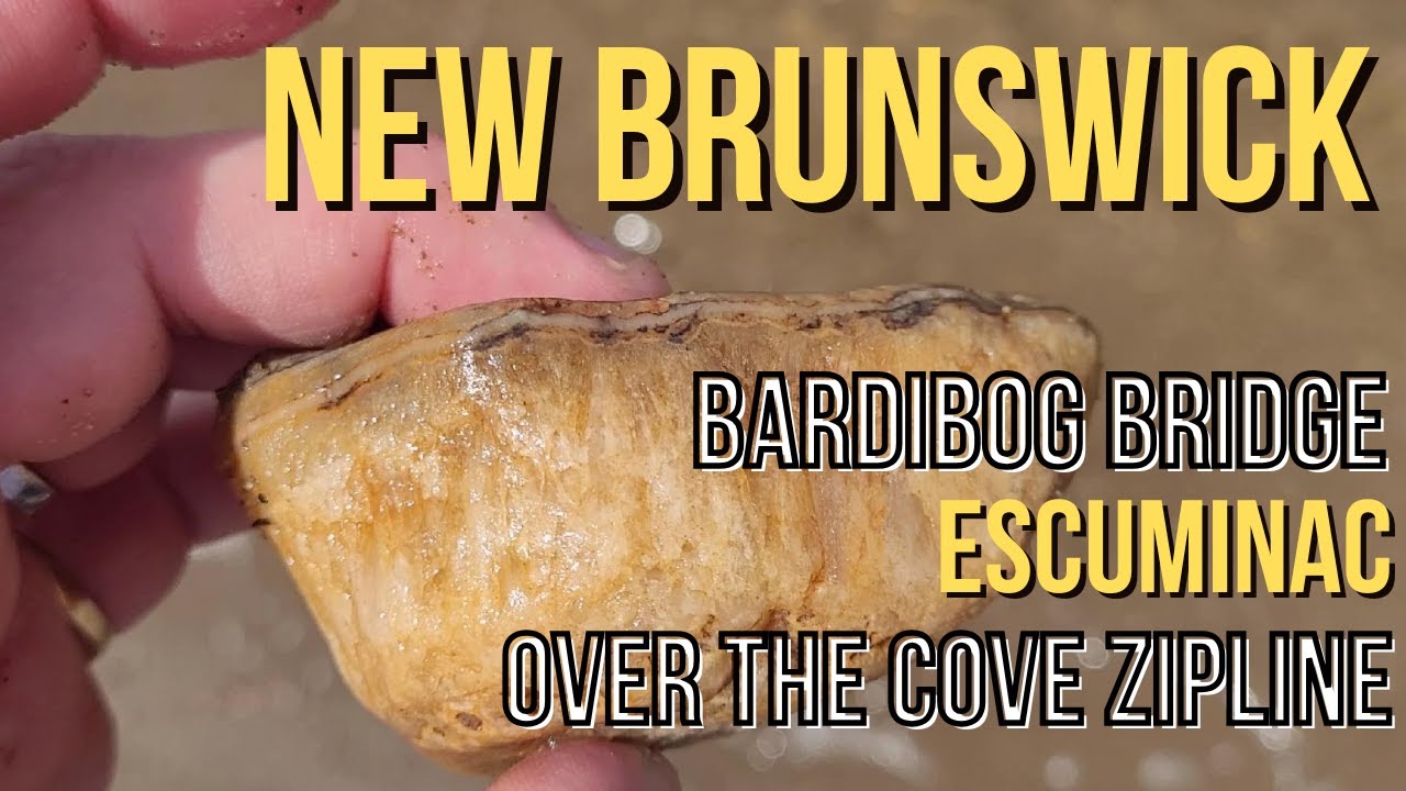 Epic Rockhounding Adventure Pt. 2 Bardibog Bridge, Escuminac, Ziplining!!