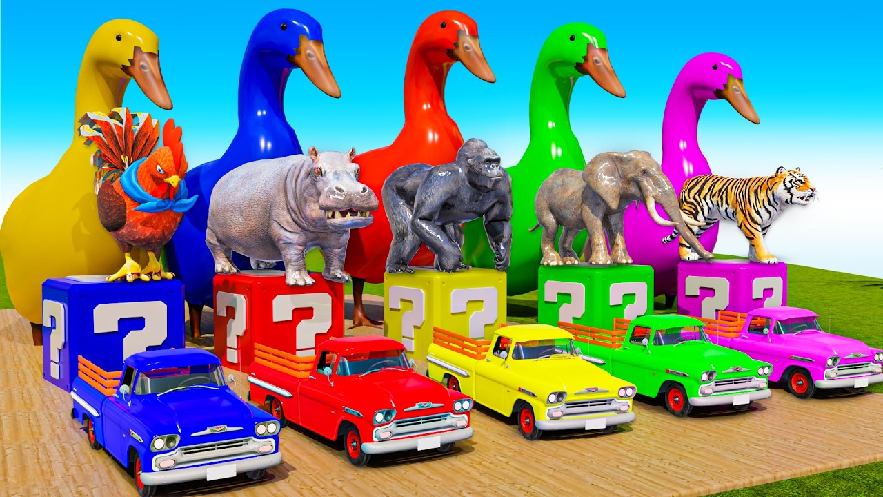 Long_ Slide Game With Cow Elephant Gorilla Hippopotamus Peacock 3D Animal Game Funny 3D Animals