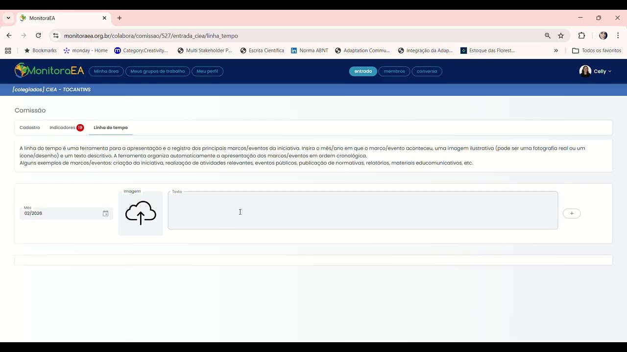 2. Área Colaborativa