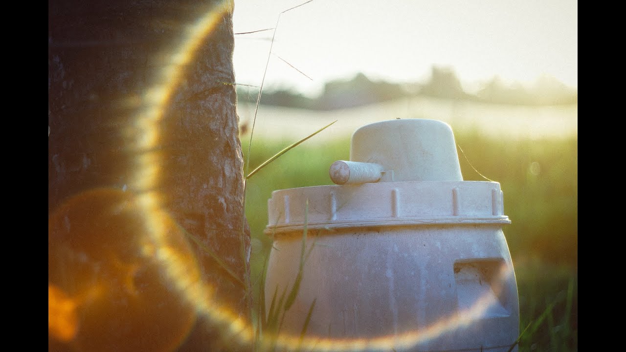 Mamiya Sekor SX 55mm f/1.8 | Vintage, Flare, bokeh Lens