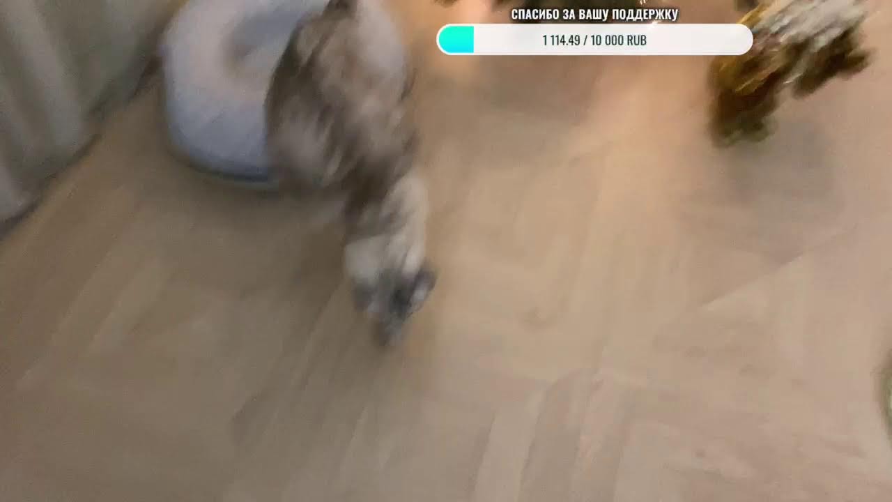 Добрый вечер