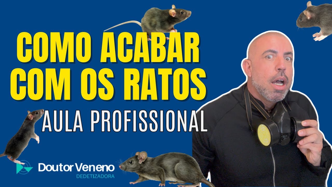 Como acabar com os Ratos ( Aula Profissional )