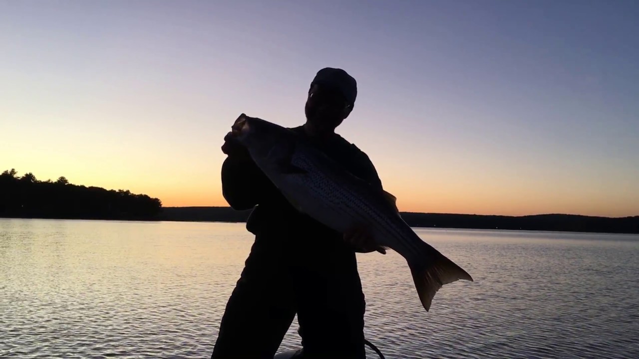 Wallenpaupack Striper