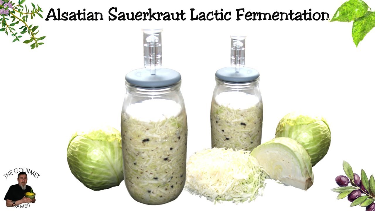 Homemade Sauerkraut | Lactic Fermentation