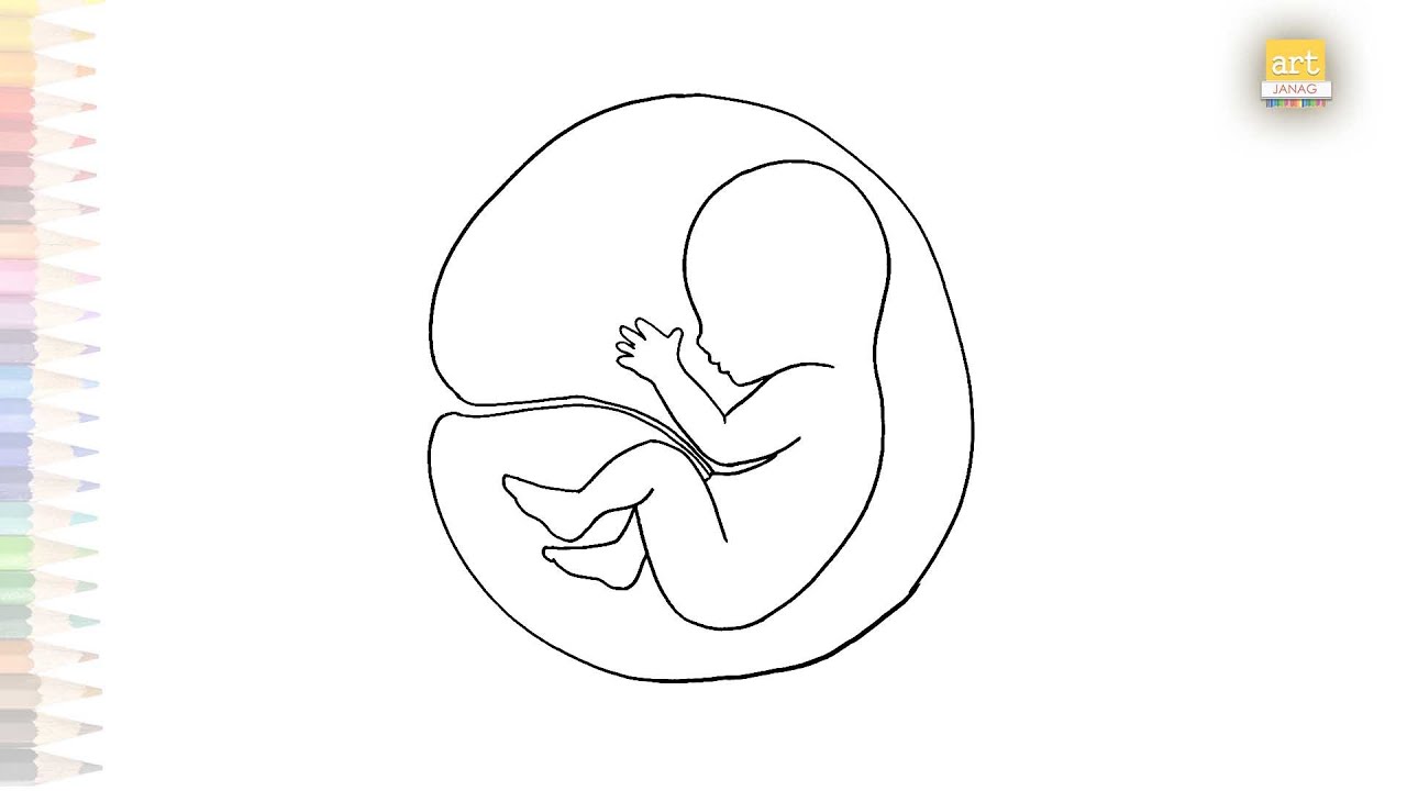 Baby in mother womb drawing | Drawing tutorials easy|How to draw Baby in mother womb easy #artjanag