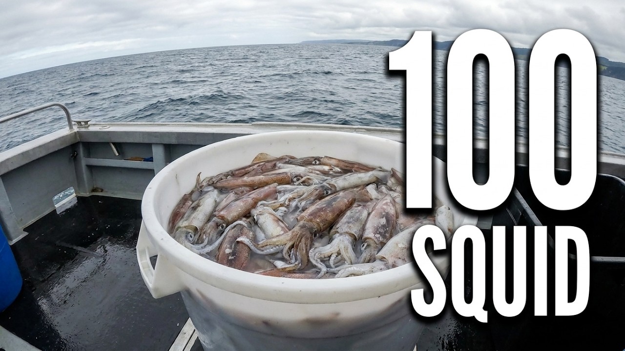 Puget Sound Squidding 2025
