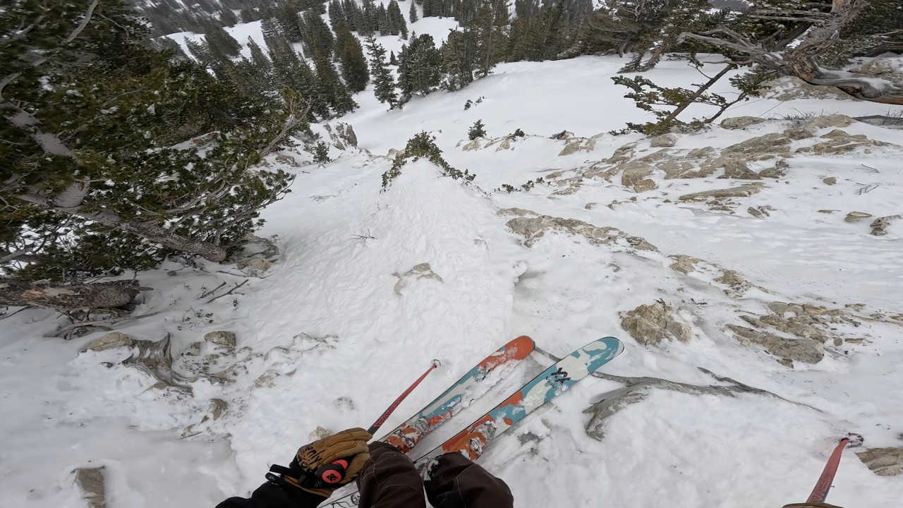 Supreme bowl madness