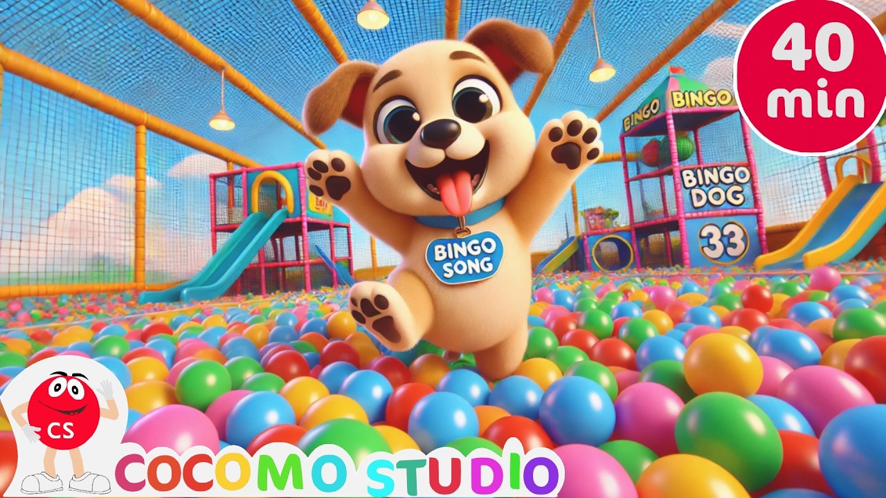 Бинго и друзья 🐶 | 35 минут веселых детских песенок для малышей
