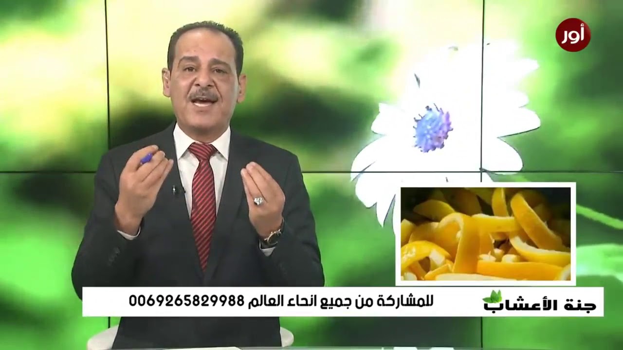 فوائد قشر الليمون مع خبير الاعشاب حسن خليفة - جنة الاعشاب