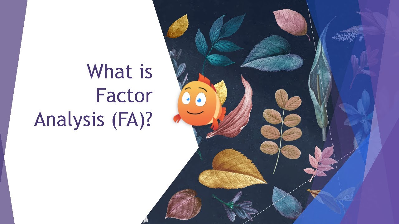 What is Factor Analysis? (09.04)