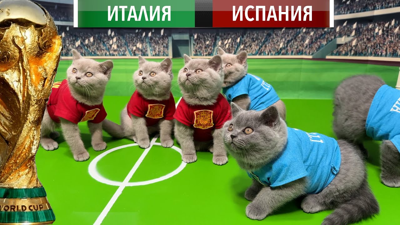 33 КОТЁНКА - КОШАЧИЙ ФУТБОЛ! КУБОК МИРА СРЕДИ КОТЯТ НА  РУССКОМ ЯЗЫКЕ! ИГРА #2, ИТАЛИЯ И ИСПАНИЯ