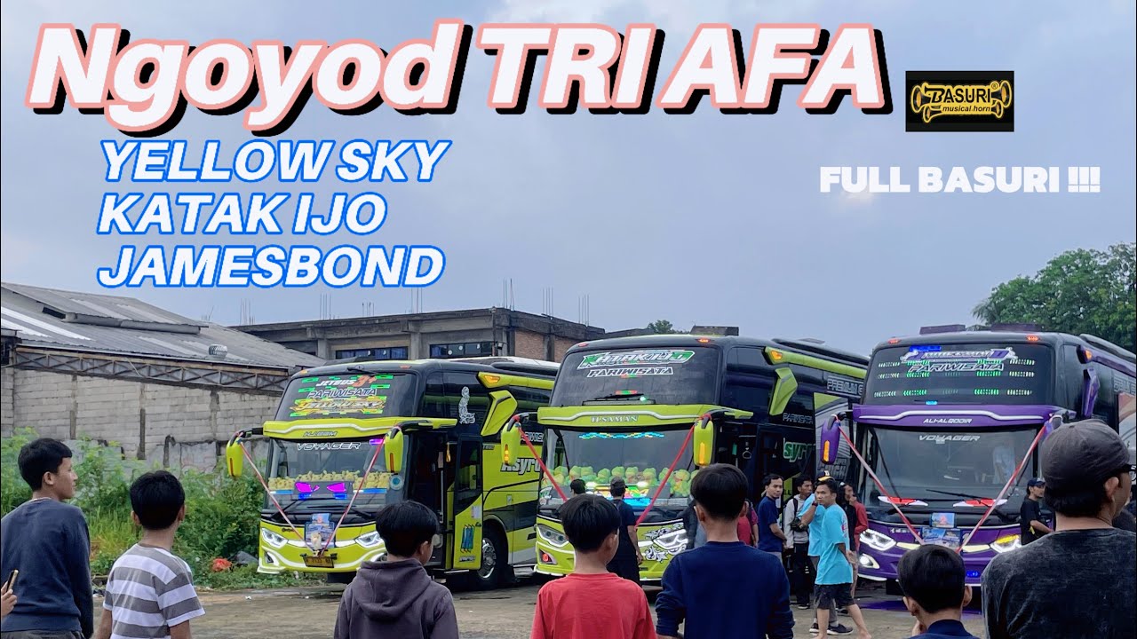 TRI MSM AFA GANK !! YELLOW SKY KATAK IJO & JAMESBOND