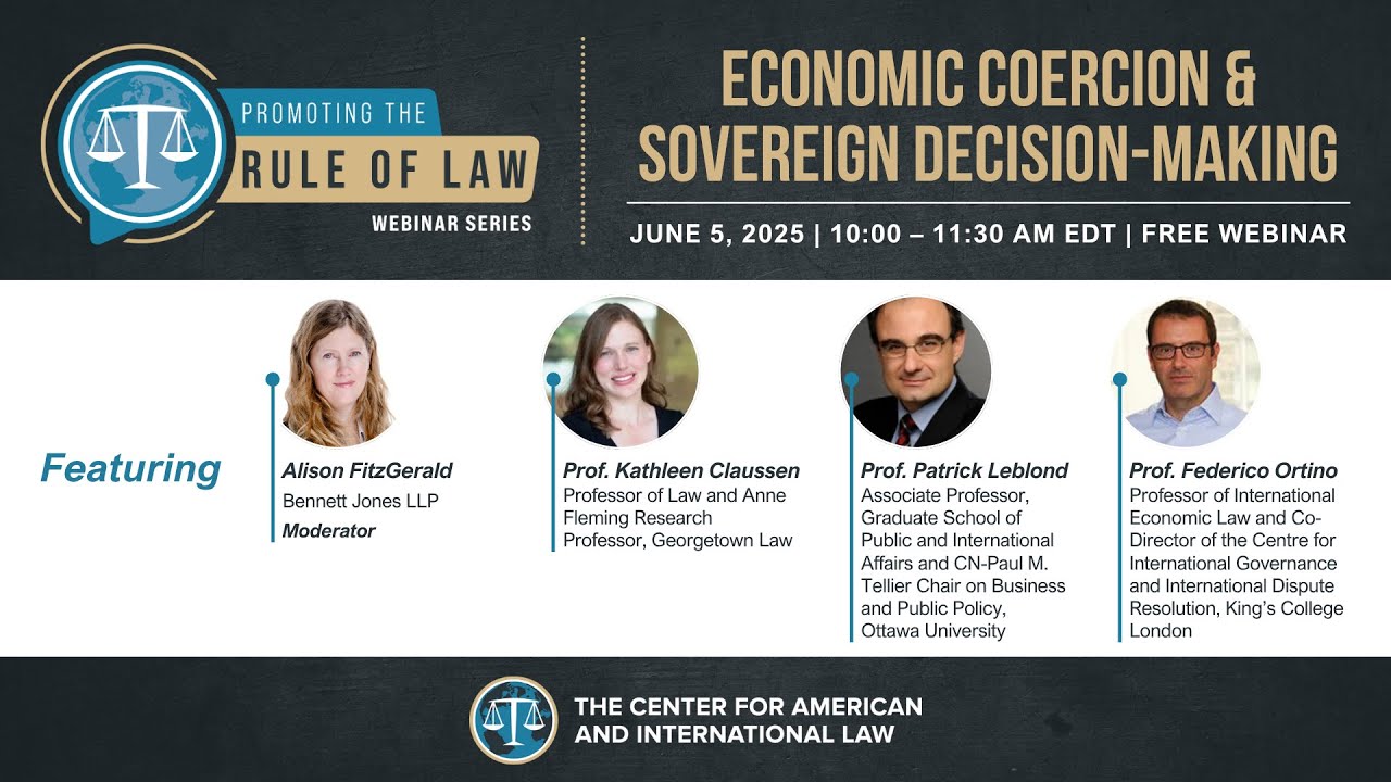 Promoting the Rule of Law : Economic Coercion and Sovereign Decision-Making