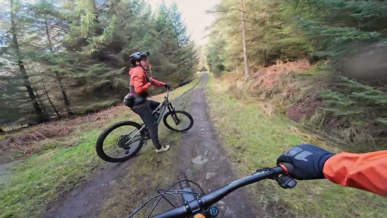 Hamsterly quick blast!