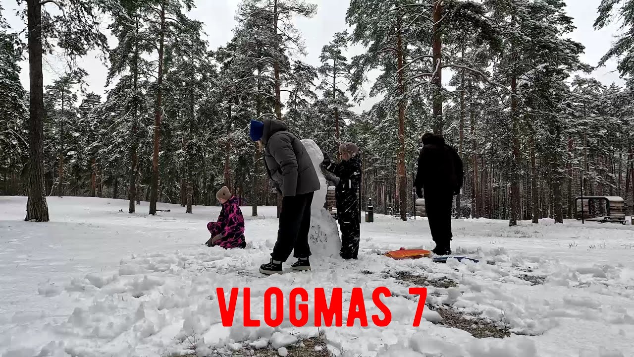 Ризотто с креветками /Семейный день в лесу /Зима пришла!