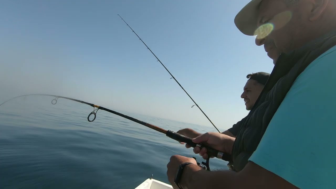 Pesca de Lulas em Aveiro a 7 milhas da costa