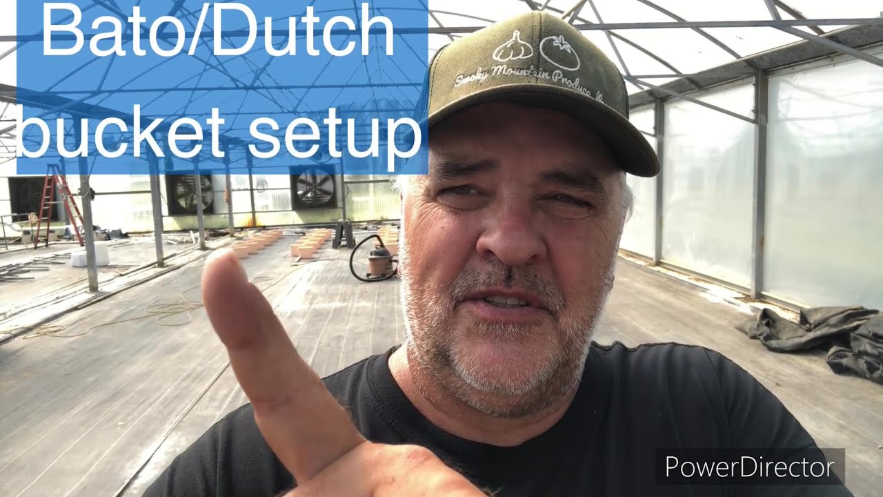 Bato / Dutch bucket system setup