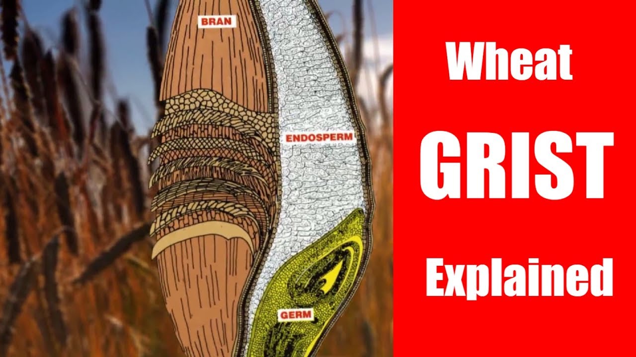 What is GRIST? SEE at a Grist Mill in New Hampshire.