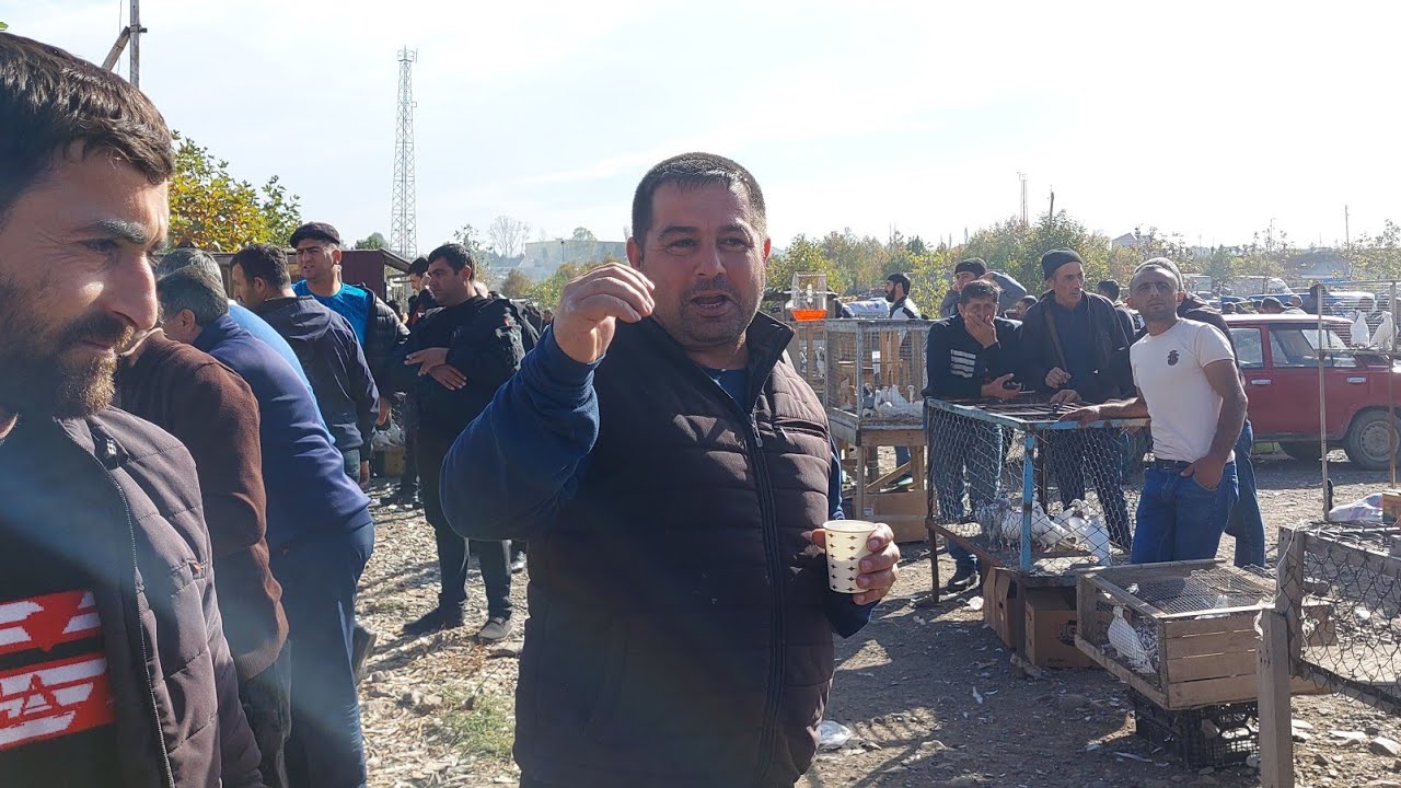 22 10 2023 gence quş bazarı 050 567 95 25