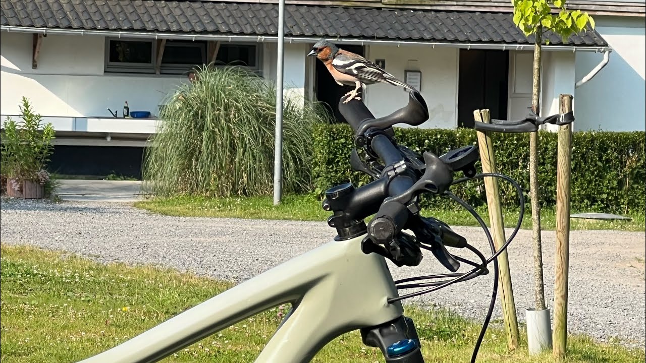 MTB Ardennen