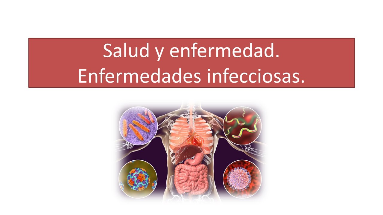 Salud y enfermedad. Enfermedades infecciosas.