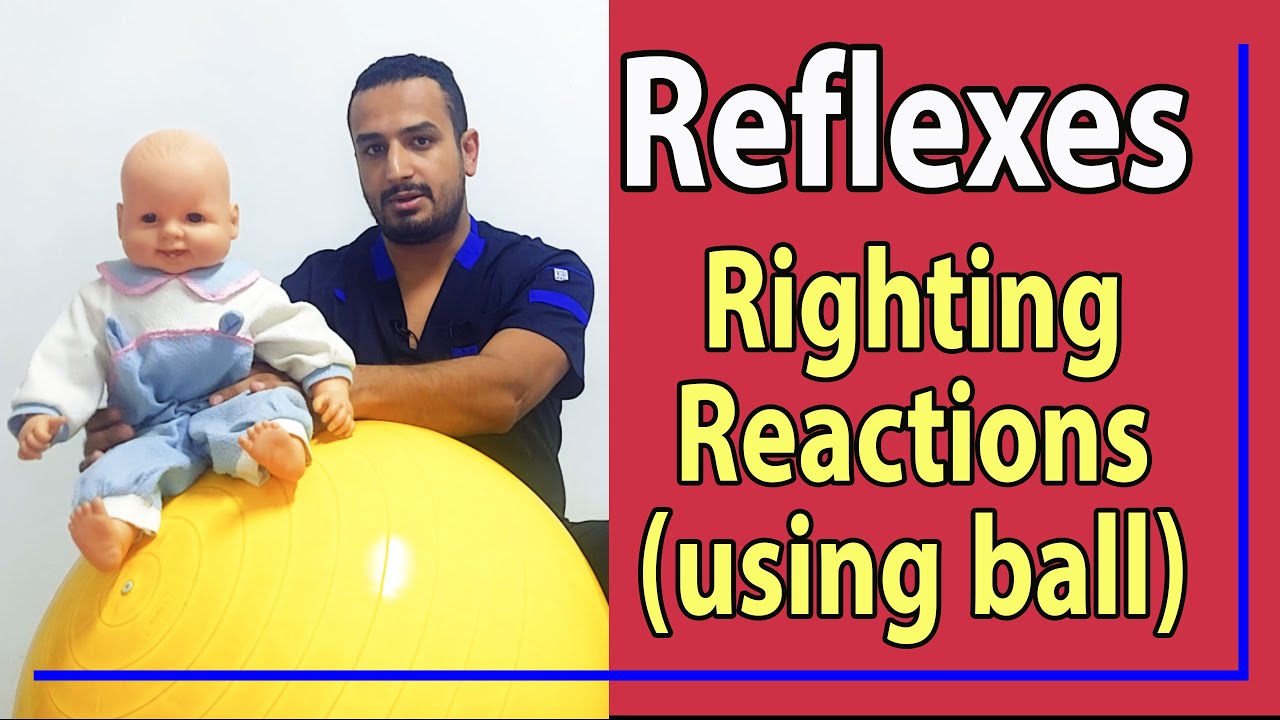 15 Righting Reactions (using ball)