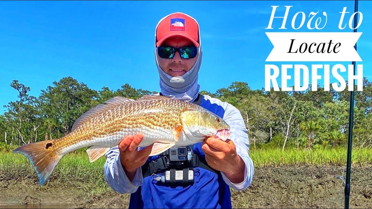 Как найти окуня (Redfish) — Ловля рыбы в низинах — Саванна, Джорджия