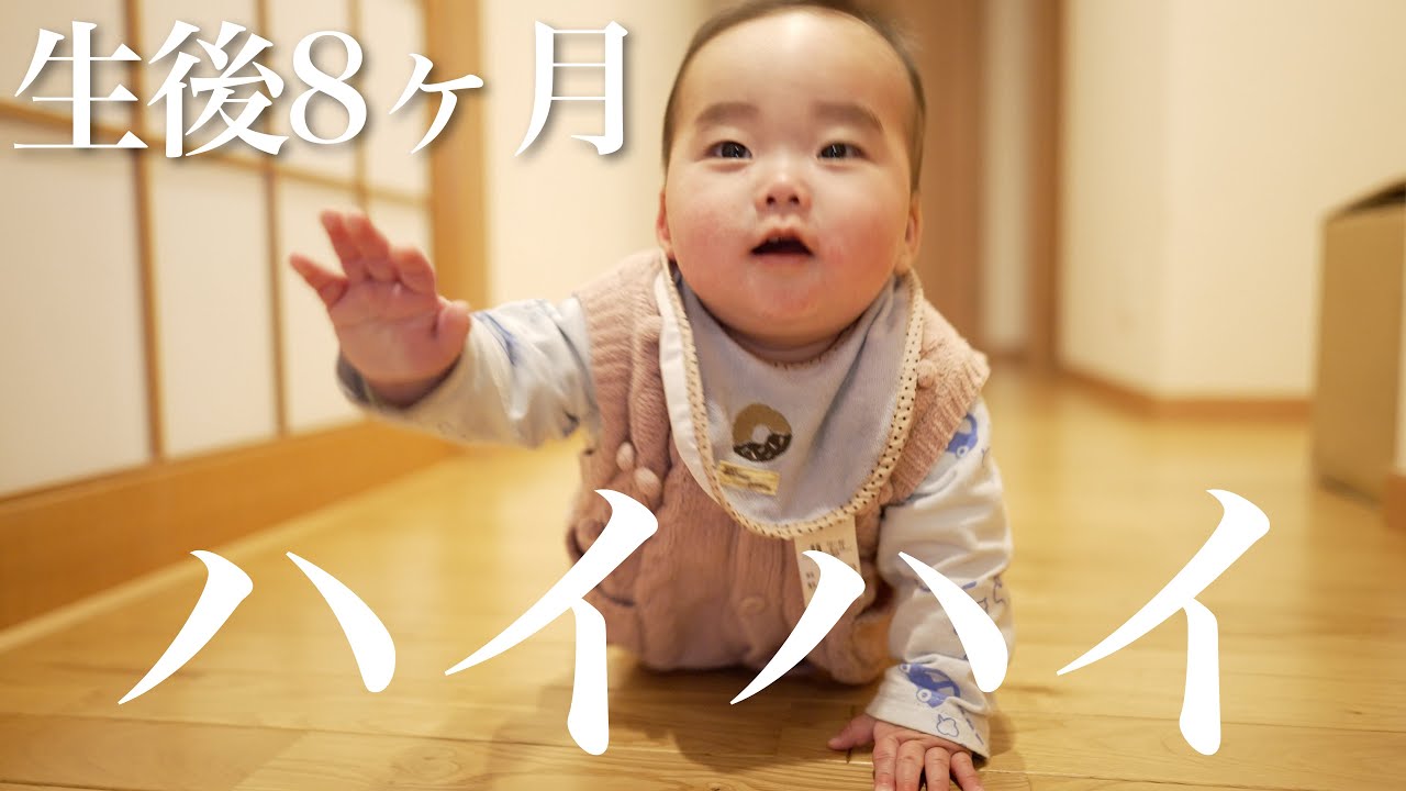 生後8ヶ月赤ちゃんができるようになったこと！！