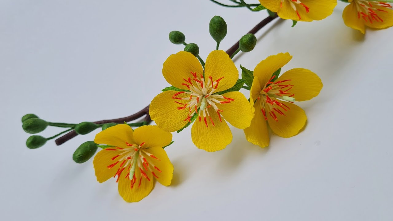 Cách làm hoa Mai vàng từ giấy nhún / Paper Flower / Góc nhỏ Handmade