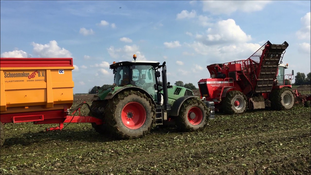 Bieten rooien op de zware Oldamster klei met 2 x Vervaet 17 T