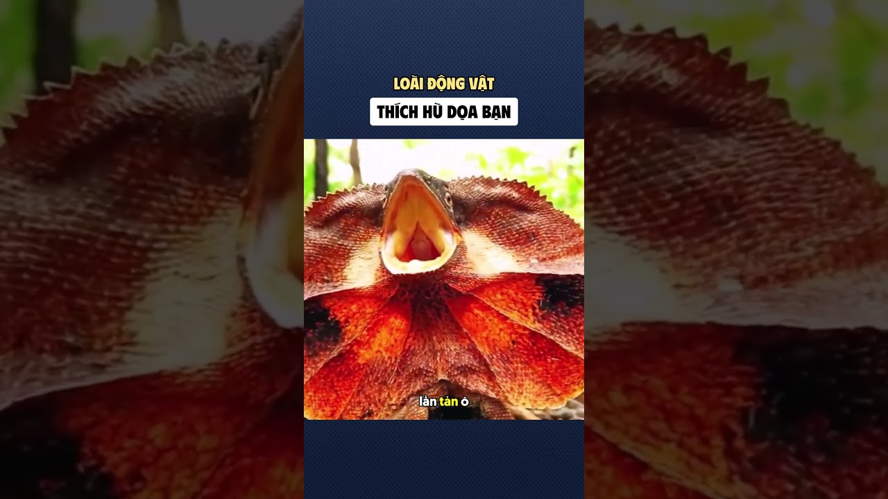 Lo&agrave;i động vật th&iacute;ch h&ugrave; dọa bạn