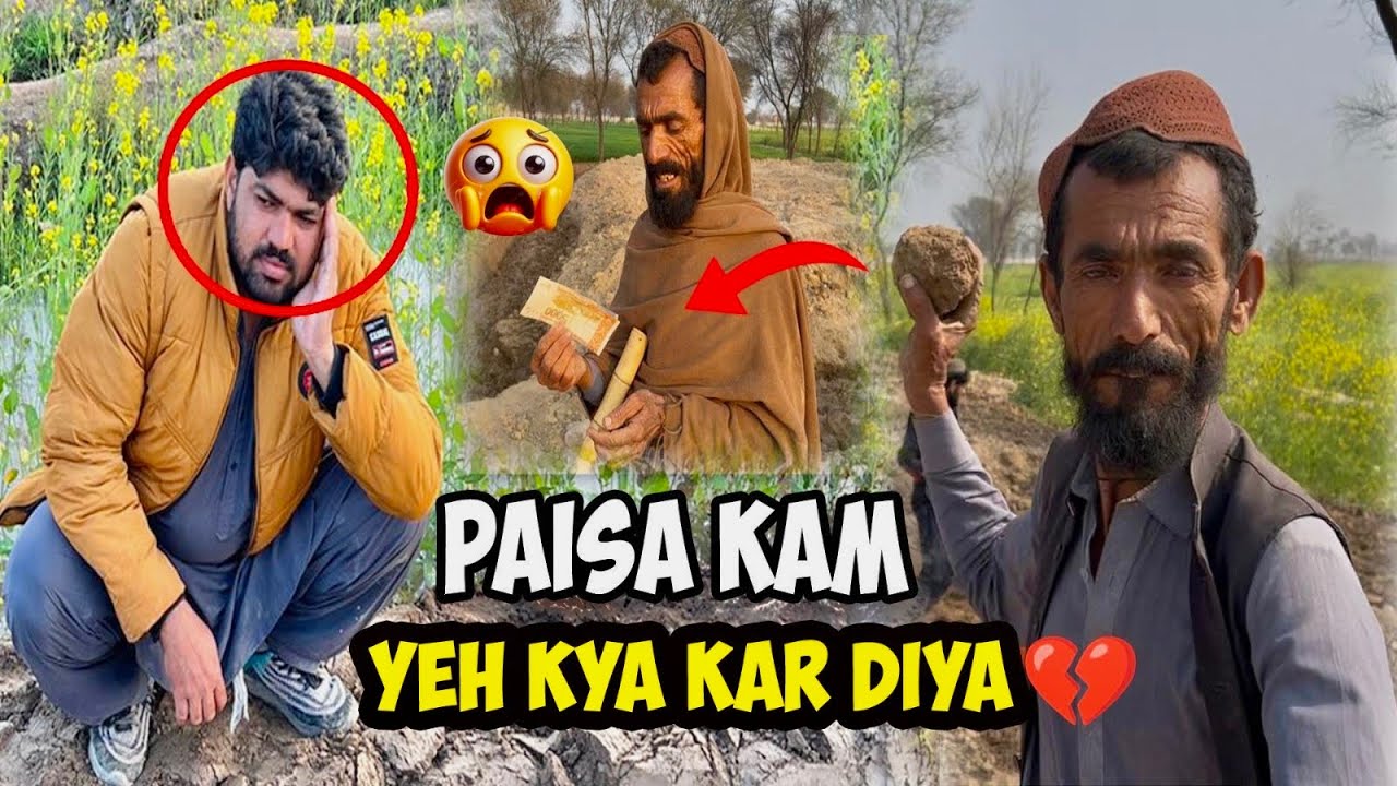 Pet House Ka Paisa Kam? Pathan Ne Kya Kar Diya 😳🔥 