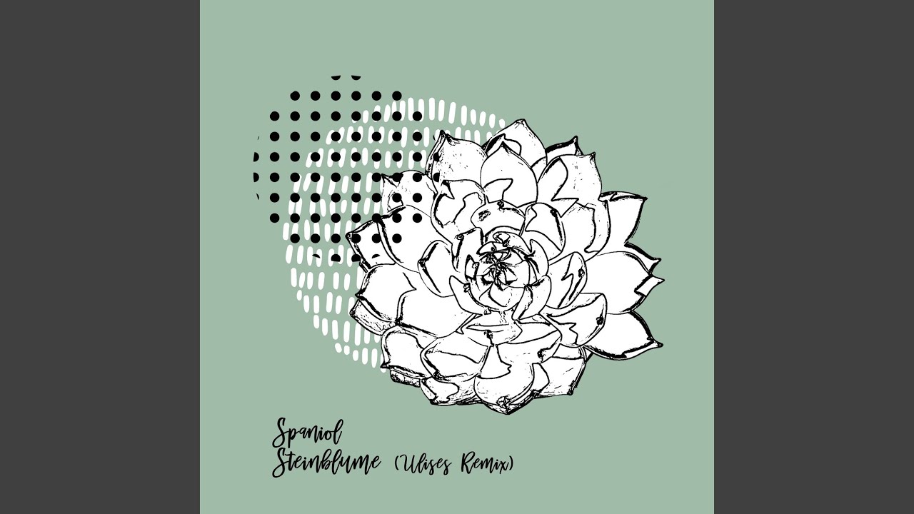 Steinblume (ulises Remix)