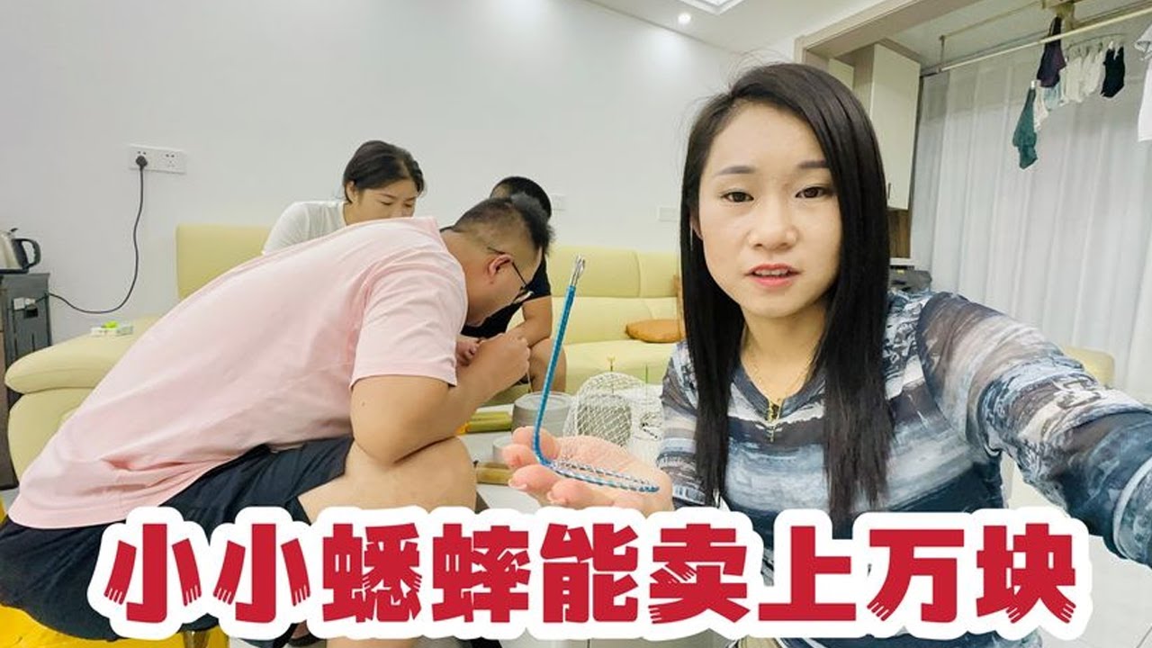 老公迷上了抓蟋蟀卖钱，听说人家一只就能卖一万块，这诱惑太大了【你好仲文】
