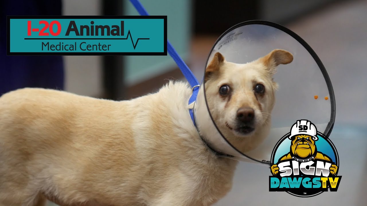 Signs Manufacturing Builds An EMC For A Returning Client I20 Animal Medical Center
