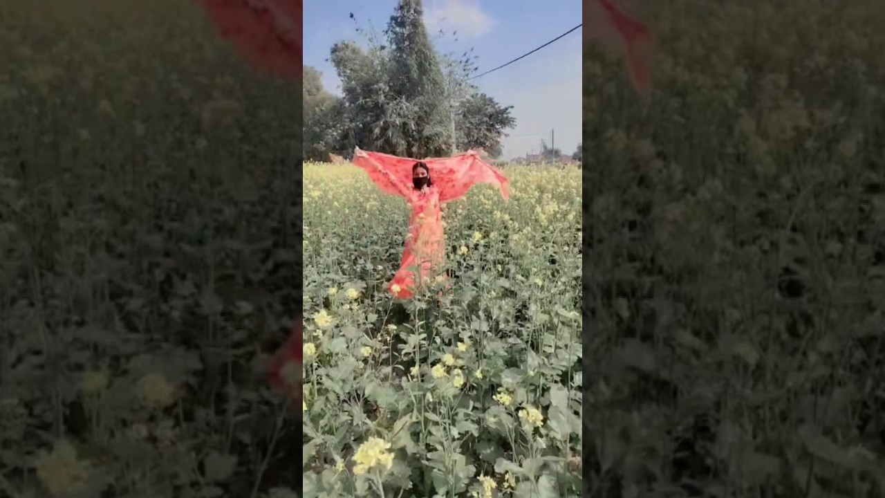 Ye phulo ki wadi 🥰❤🌺#shorts #shortsfeed #trending #youtubeshorts #ytshorts #viralvideo #song